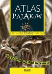 Atlas pająków. Pascal.