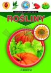 Rośliny. Encyklopedia.
