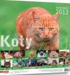 Kalendarz ścienny 2012 - Koty. Demart