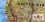/environment/cache/images/300_300_productGfx_57c856ed629dd0bc8ec6ad55725fb142.jpg