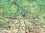/environment/cache/images/300_300_productGfx_e9dfc75f96aeab269d769f8f2af6ad8f.jpg